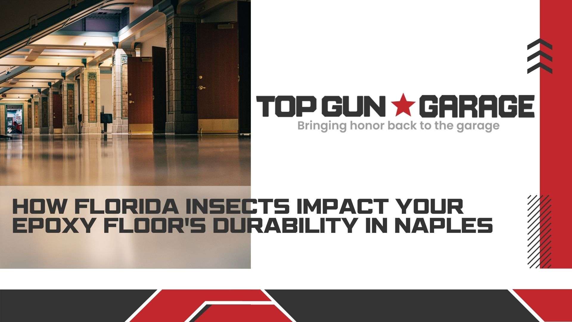 how florida insects affect epoxy floor durability|how florida insects affect epoxy floor durability|epoxy floor protection in Naples
