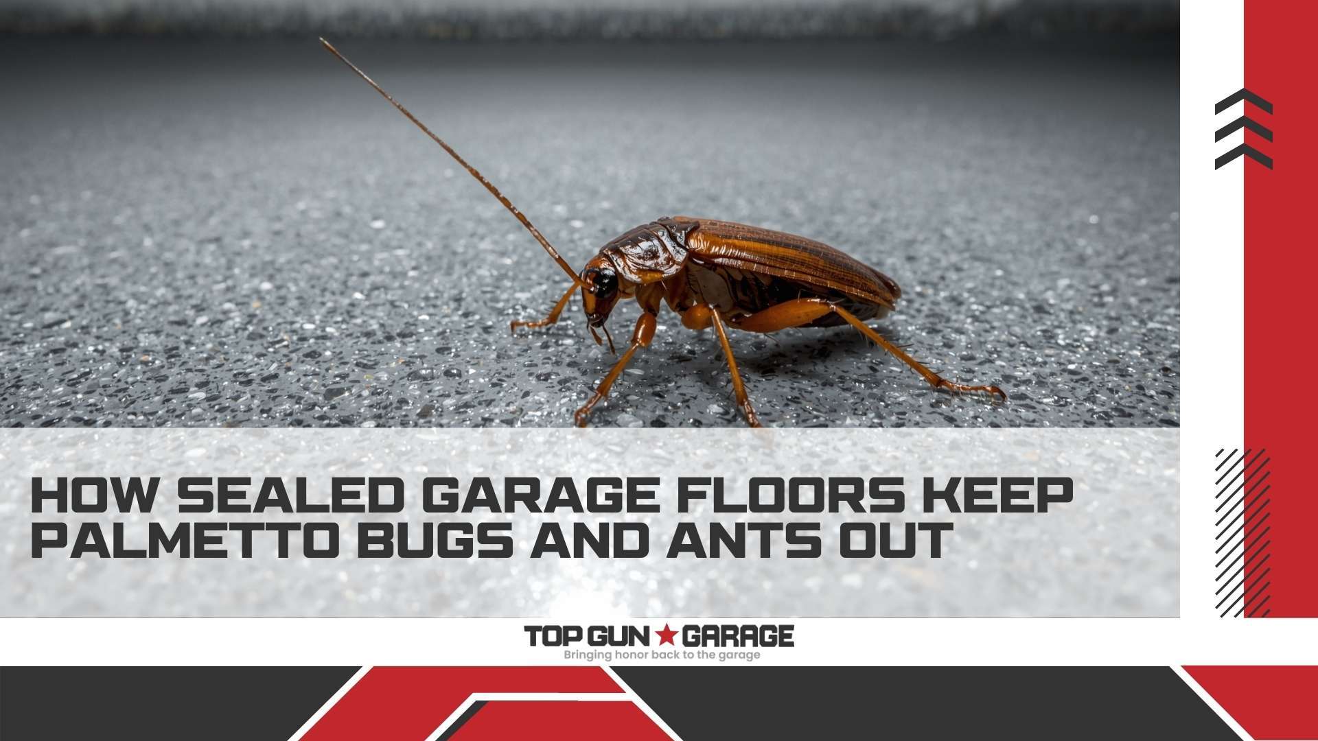 |pest resistant garage floor|pest resistant garage floor|pest resistant garage floor